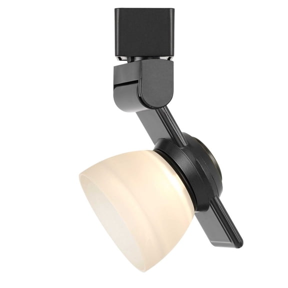Cal Lighting HT-999-LED Plastic & Metal Track Fixture in Bronze/Frosted White
