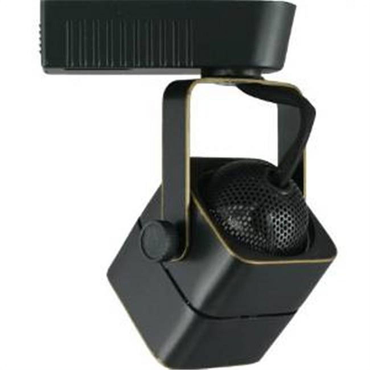 Cal LightingJT-263-BS Track Head Combian Light 12V Brusted Steel -  Walmart.com