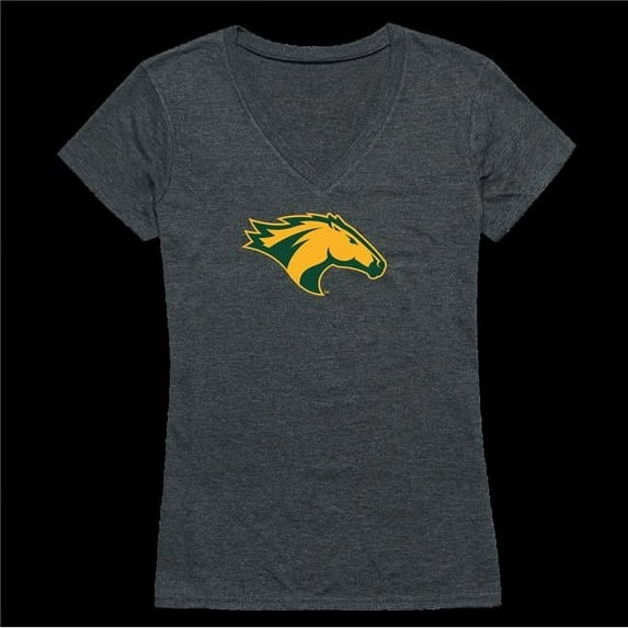 Cal Poly Pomona Broncos Womens Cinder T-Shirt, Heather Charcoal - Small