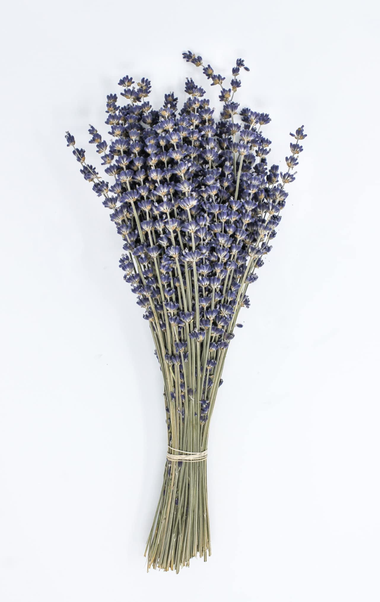 CalCastle Craft 1/2 LB Natural Dried Lavender Extra Tall Bundle Original Natural Fragrance Preserved