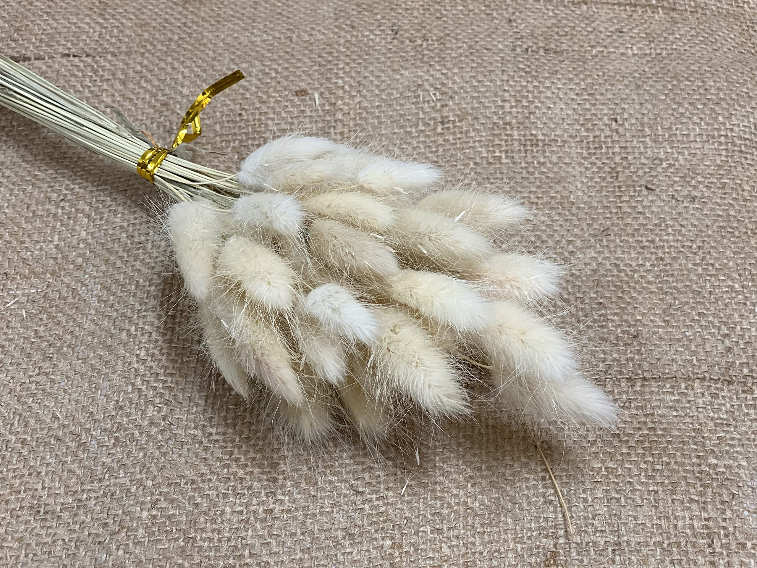 CalCastle Craft 100 Stems 24