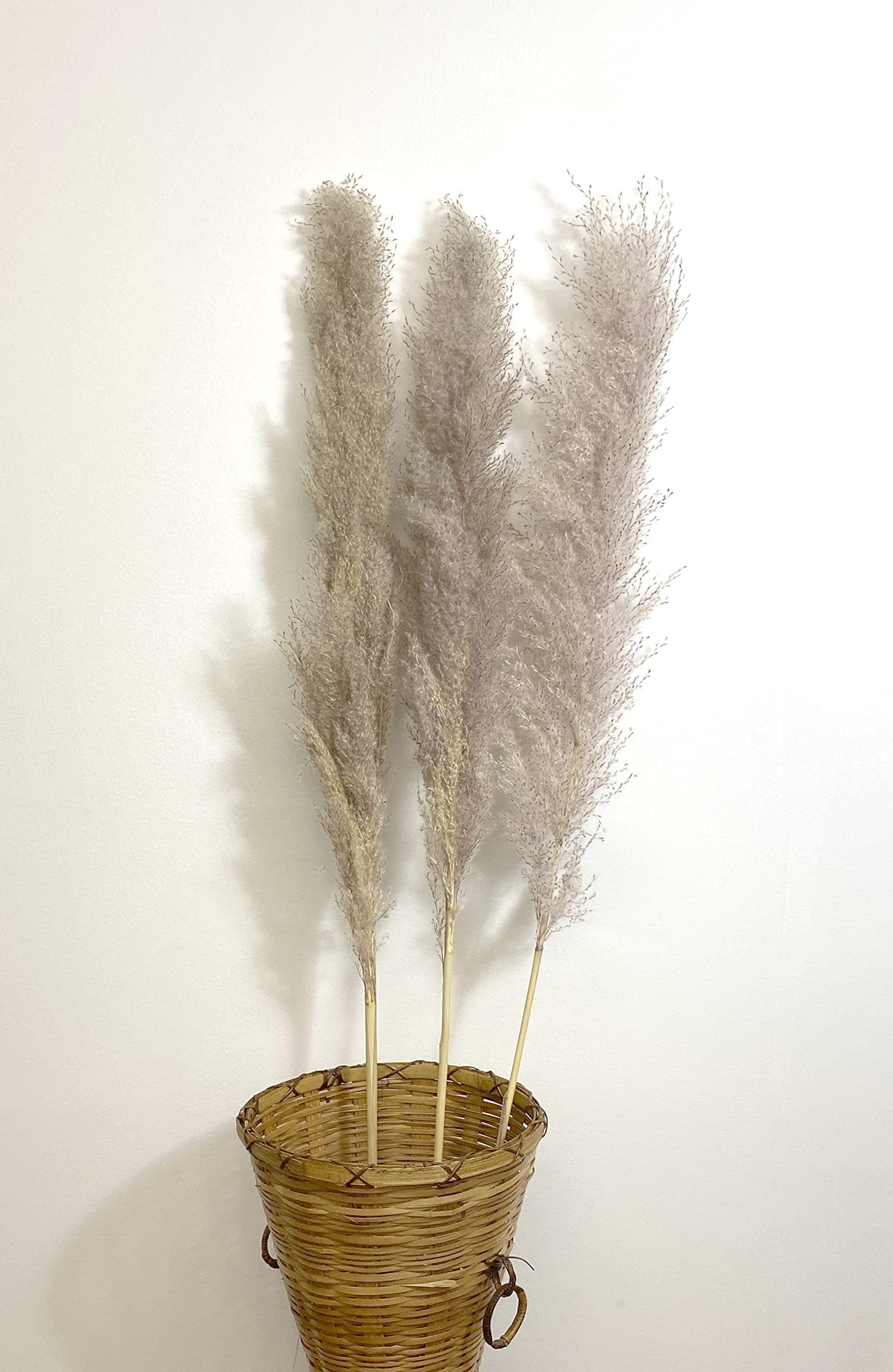 CalCastle Craft 3 Stems 48" Dried Natural Pampas Reed Dried Flowers Wedding Home Decor (Reed Natural Gray Jumbo)
