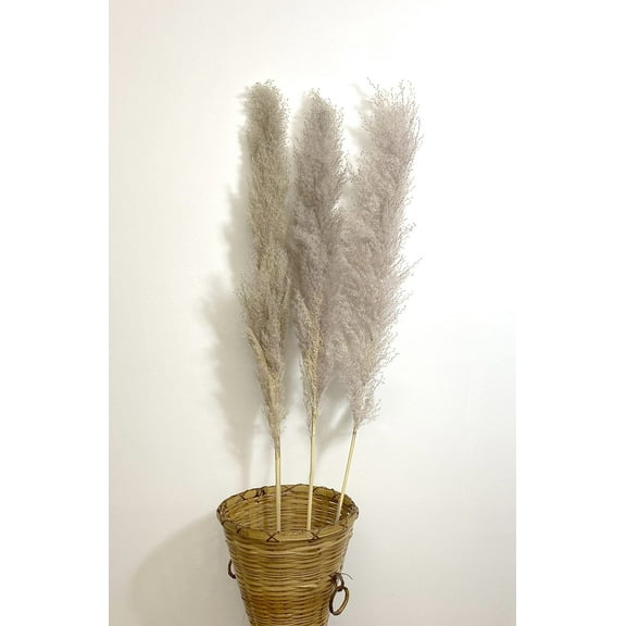 CalCastle Craft 3 Stems 48" Dried Natural Pampas Reed Dried Flowers Wedding Home Decor (Reed Natural Gray Jumbo)