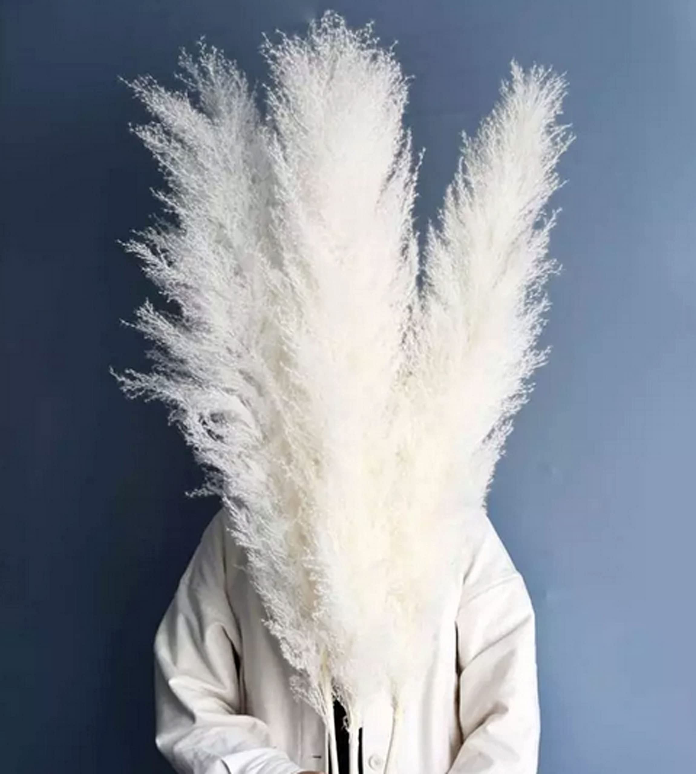 CalCastle Craft 3 Stems 48" Dried Natural Pampas Reed Dried Flowers Wedding Home Decor (Reed Pure-White Jumbo)