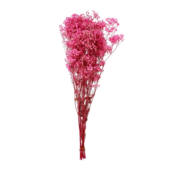 CalCastle Craft Dried Flower Natural Babys Breath 27" H 4.5oz Large Bundle Gypsophila Perserved for Wedding Bouquet Home Decor (Pink)