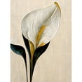 thumbnail image 1 of Cala Lily Lilies Flower Abstract Minimalist Painting Cream Emerald Green Mustard Unframed Wall Art Print Poster Home Decor Premium, 1 of 4