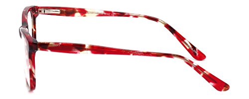 Calabria Splash 62 Designer Reading Glasses in Wine +3.00