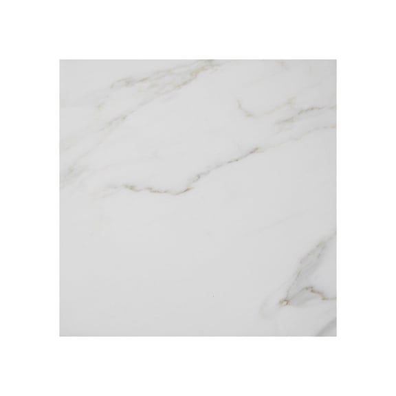 Calacatta 12-in x 12-in Polished Marble Floor and Wall Tile (10 sq. ft/Box)