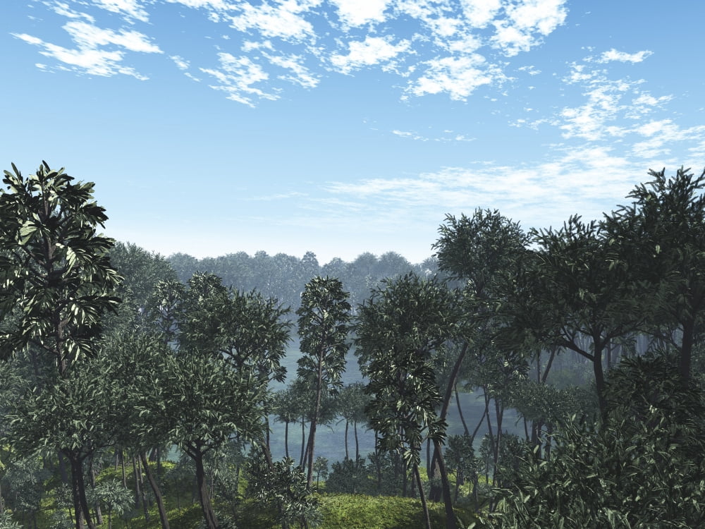 Calamites and Drepanophycus populate lowlands near the brackish waters of an inland sea Canvas Art - Walter MyersStocktrek Images (33 x 25)