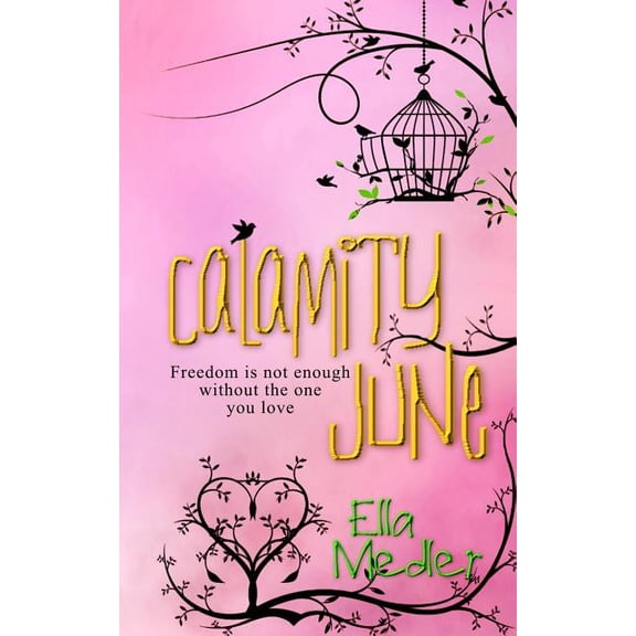 Calamity June (Paperback)