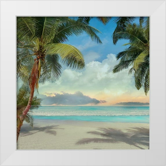 Calascibetta, Mike 20x20 White Modern Wood Framed Museum Art Print Titled - A Found Paradise I