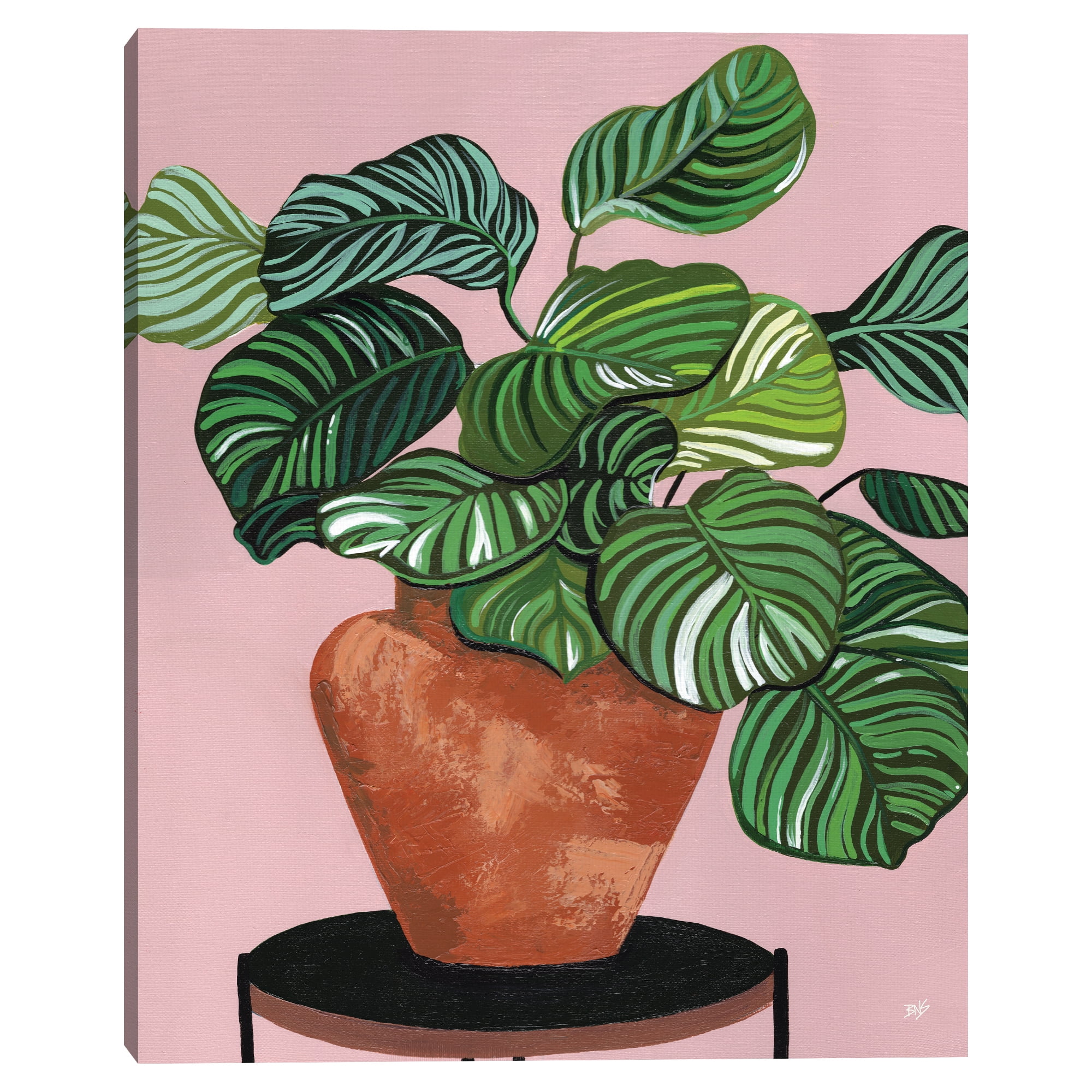Calatheas by Bria Nicole Canvas Art Print
