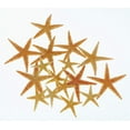 thumbnail image 1 of Calcastle Natural Real Starfish Sea Star Star Fish (Natural, 1"-2" (Small) - 60 Pcs), 1 of 4