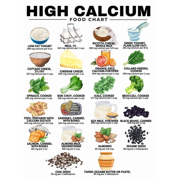 Calcium food list poster suitable for osteoporosis nutrition and health high calcium chart poster