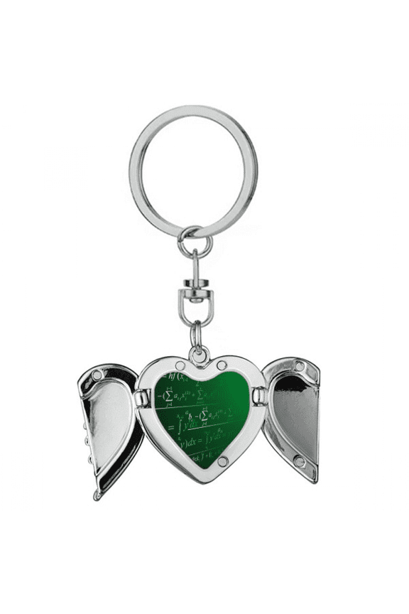 Calculus Mathematical Formulas Painted Stick Heart Angel Wing Key Chain Holder