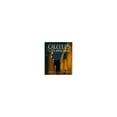 thumbnail image 1 of Pre-Owned Calculus and Its Applications Paperback, 1 of 1