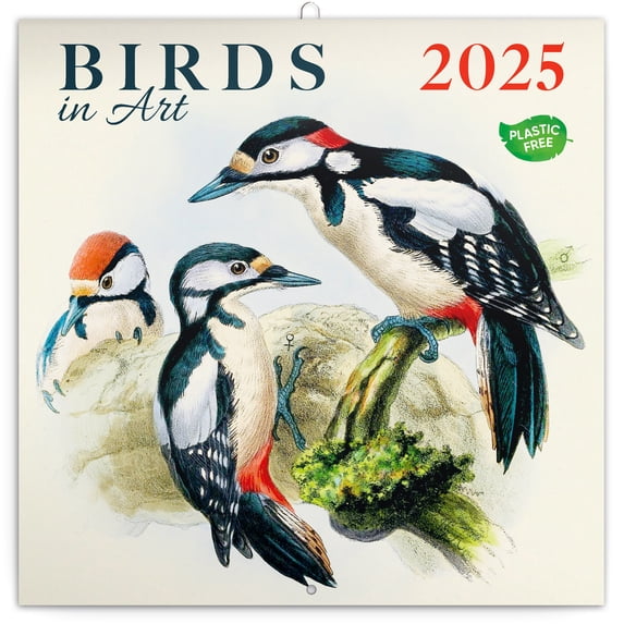 Calendar 2024-2025, Birds Wall Calendar, Monthly Calendar, 16 Month Hanging Calendar Sep 2024 - Dec 2025, 12x12 in.