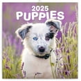 thumbnail image 1 of Calendar 2024-2025, Puppies Wall Calendar, Monthly Calendar, 16 Month Hanging Calendar Sep 2024 - Dec 2025, 12x12 in., 1 of 5