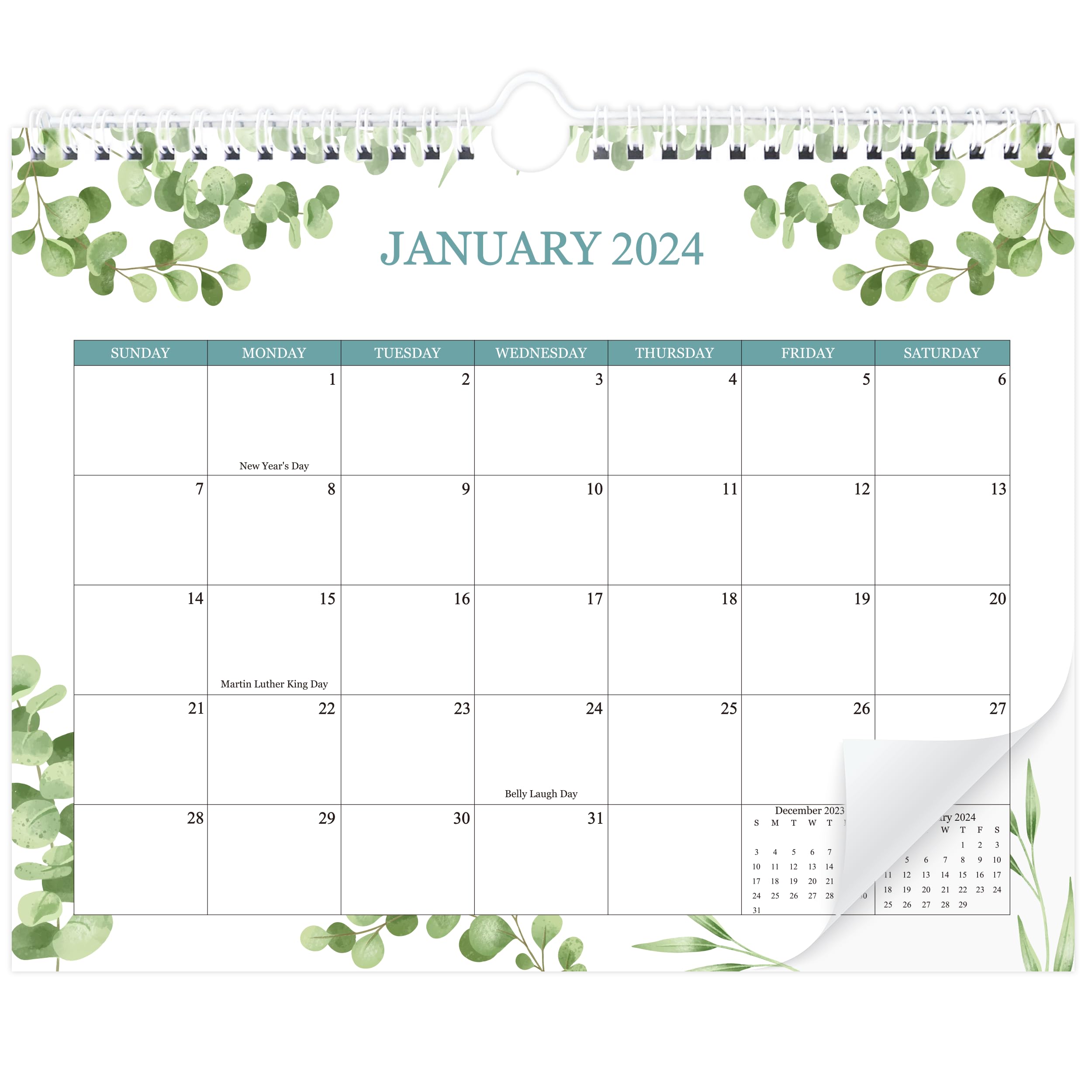 Calendar 20242025 Wall Calendar.Jan 2024June 2025.18months Monthly