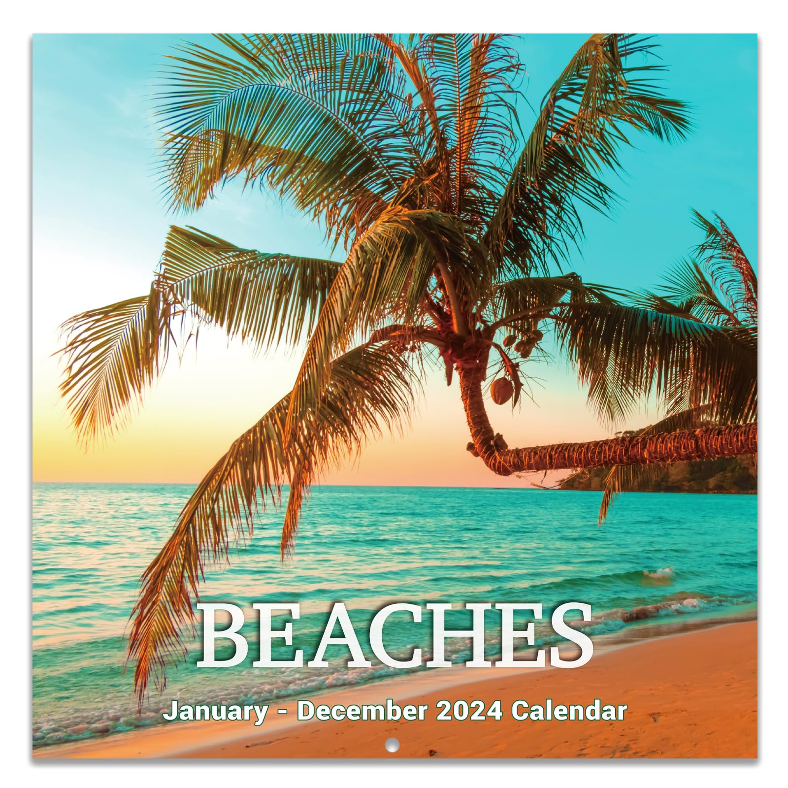 Calendar 2025 Wall Calendar 2025, Jan. 2025 Dec. 2025, 12" x 24