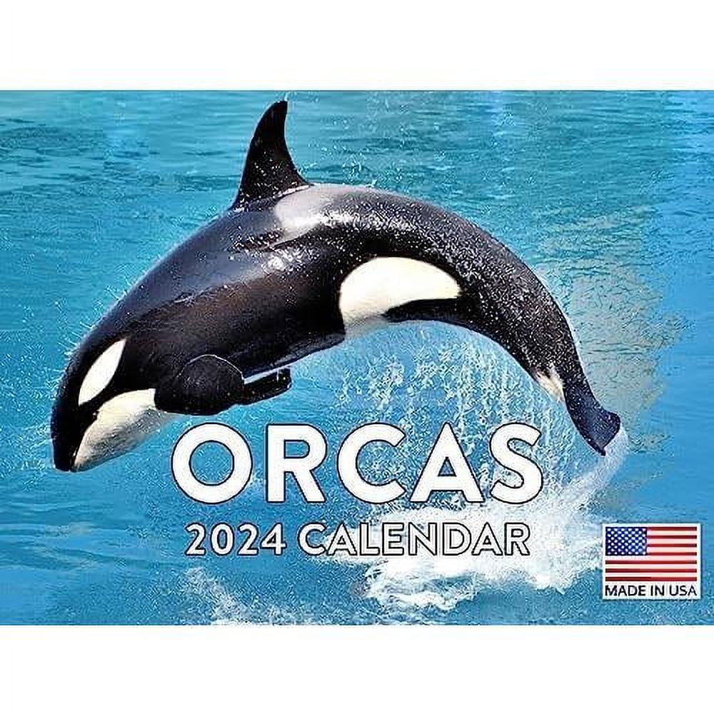 Calendar 2024
