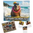 Calendar 20252026, Capybara Wall Calendar, Monthly Calendar, 12 Month
