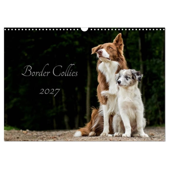 Calendar 2027 · US Version · Border Collies 2027 (Wall Calendar 2027 17 ...