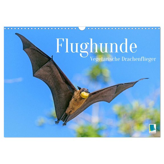 Calendar 2027 US Version Flying foxes: Vegetarian hang gliders (Wall Calendar 2027 17" 12" landscape), CALVENDO 12 Month Wall Calendar