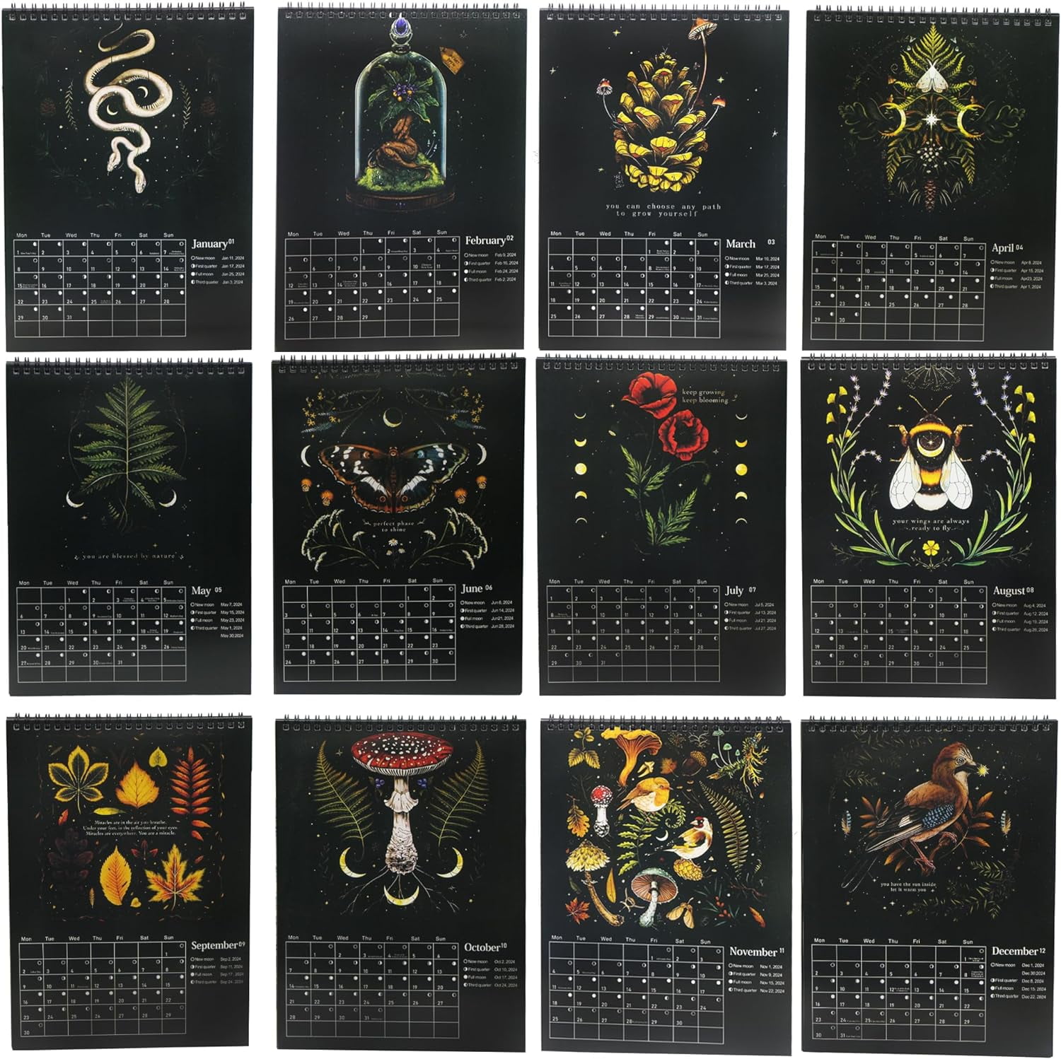 Calendar Dark Forest 2024, Include 12 Original Illustrations, 2024