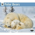 thumbnail image 1 of Calendar Ink, Polar Bears WWF 2025 Wall Calendar, 1 of 4