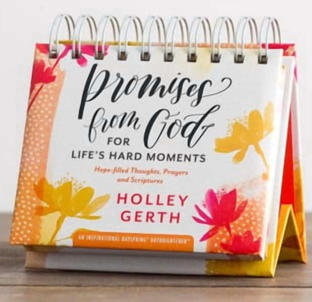 Holley Gerth's DaySpring DayBrightener - Promises from God for Life's ...