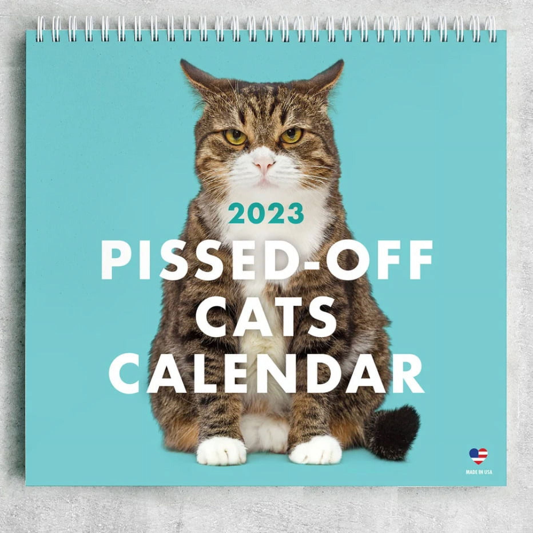 Angry Cat 2021 Wall Calendar