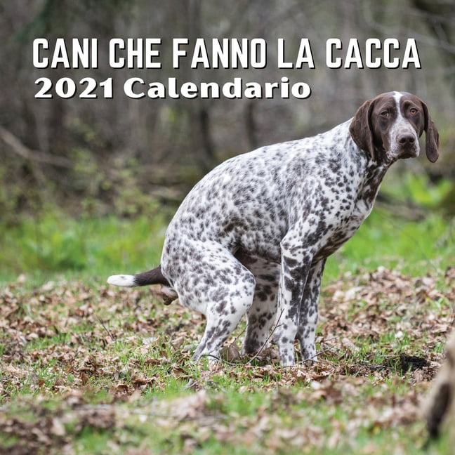 Calendario Cani Che Fanno La Cacca 2021 : Cani Regali (Paperback) 