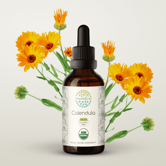 HerbEra Calendula Tincture, Organic Herbal Dietary Supplement for Skin Support, Certified Organic Calendula (Calendula officinalis) Dried Flower Extract, Natural, Alcohol-Free, Drops 2 oz