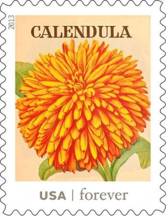 Calendula Canvas Art - US POSTAL SERVICE (22 x 28)