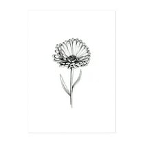 Calendula Flower - Drawing Line Art Floral Botanical Black and White Minimalist Flowers Nature Unframed Wall Art Print 5 x 7 inches