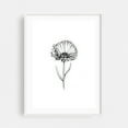 thumbnail image 1 of Calendula Flower - Drawing Line Art Floral Botanical Black and White Minimalist Flowers Nature White Framed Wall Art Print 16 x 24 inches, 1 of 3