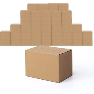1 Box of Insulated Foam Containers: 12x10x9 - Temperature Control Solution