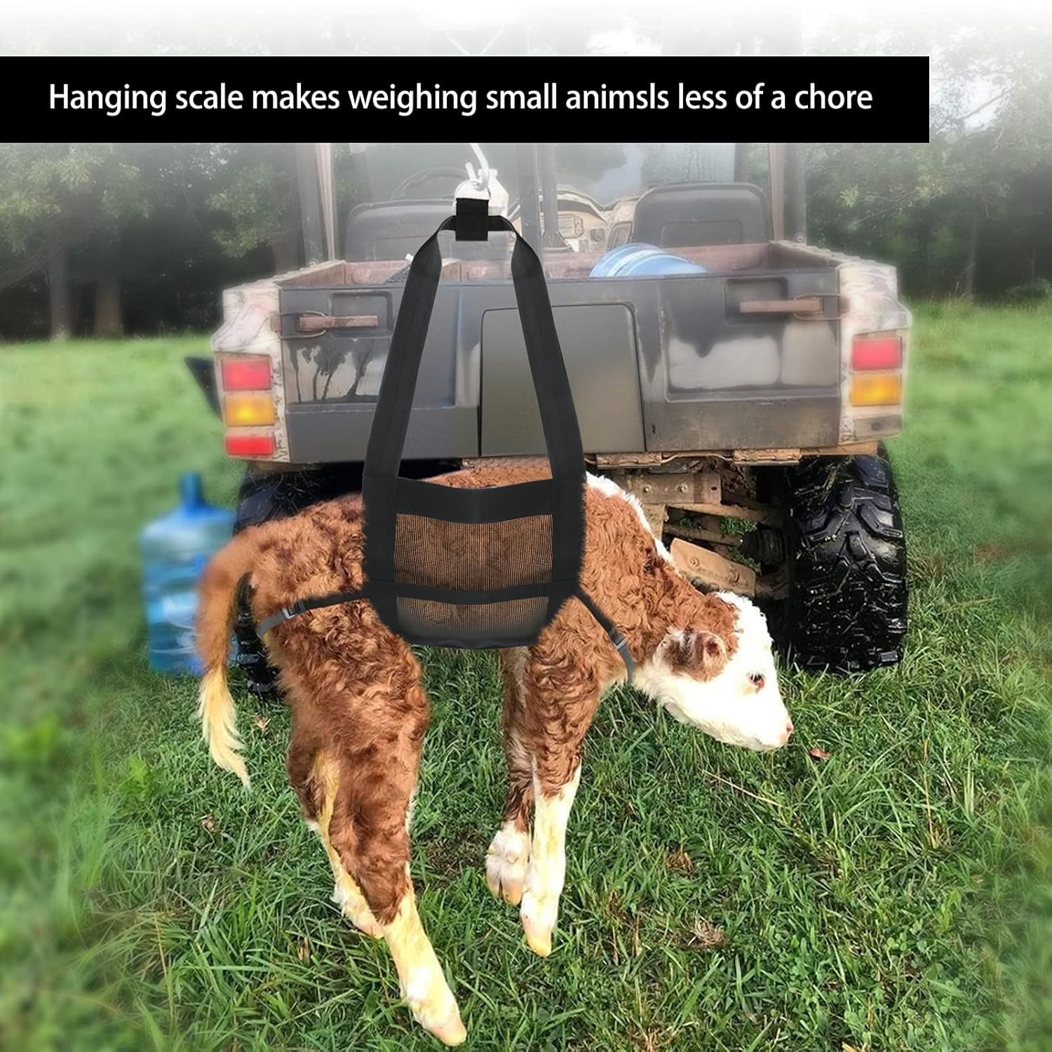 Calf Sling for Weighing Animals - Calf Scale Hanging Weight Scale Sling ...