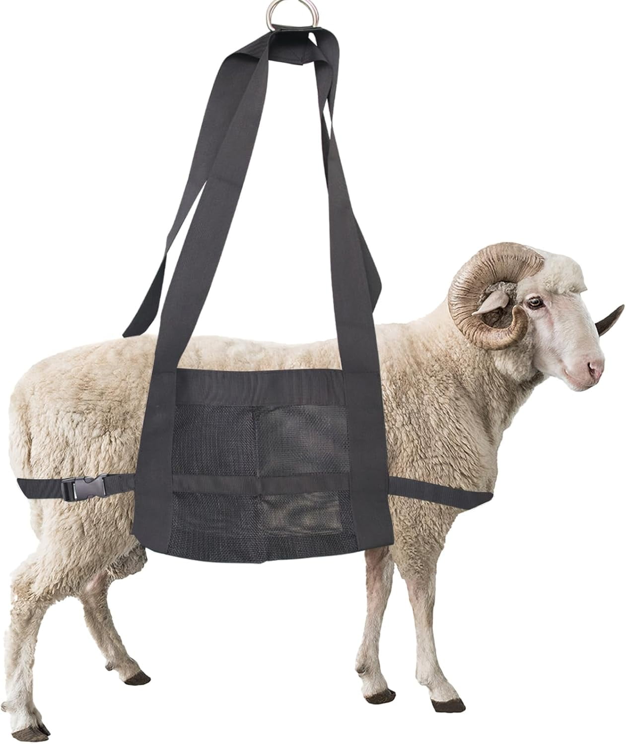 Calf Sling for Weighing Animals Sling with Adjustable Straps– Animal ...