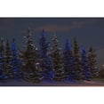 thumbnail image 1 of Calgary Alberta Canada; A Row Of Evergreen Trees With Christmas Lights by Michael Interisano / Design Pics, 1 of 3