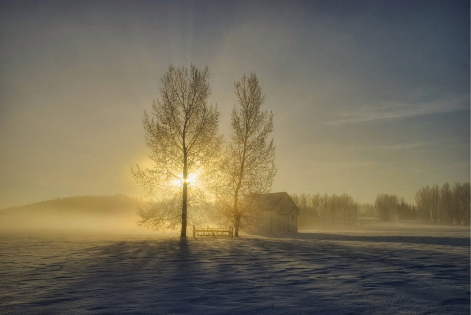 Calgary Alberta Canada A Small Pioneer School In A Misty Winter Sunrise Canvas Art - Philippe Widling Design Pics (18 x 12)
