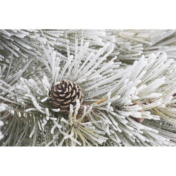 Calgary - Alberta - Canada - Frost Covered Pine Needles & A Pine Cone Poster Print - 36 x 24 - Large