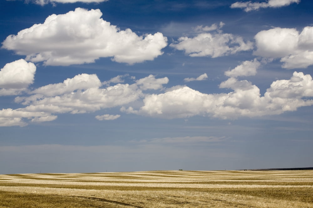 Calgary Alberta Canada Stubble Field In The Spring Canvas Art - Michael Interisano Design Pics (20 x 13)