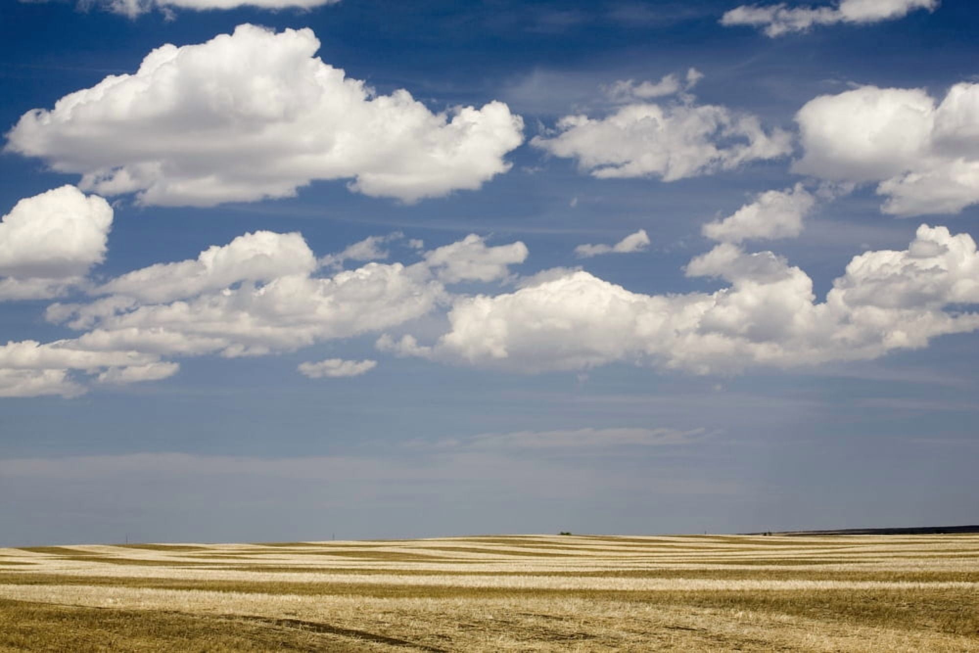 Calgary Alberta Canada Stubble Field In The Spring Canvas Art - Michael Interisano Design Pics (40 x 26)