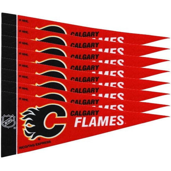 Calgary Hockey Flame's Mini Pennant Set (8)