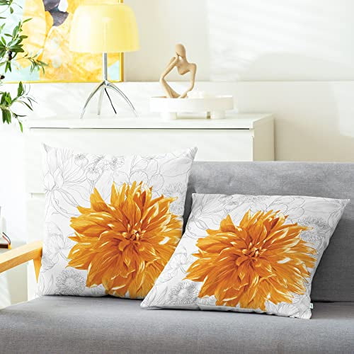 Calitime store pillow covers