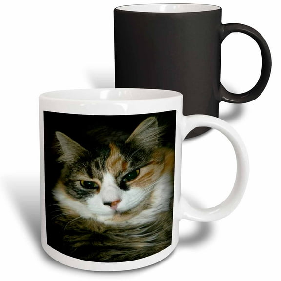 3drose, Calico Cat Closeup, 11oz Magic Transforming Mug