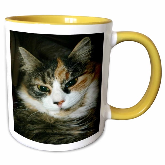 3drose, Calico Cat Closeup, 15oz Two-tone Yellow Mug