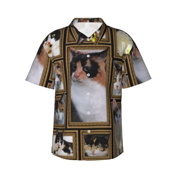 Calico Cat Men'S 3d Print Casual Button Down Shirts, Novelty Hawaiian Short Sleeves 2xl